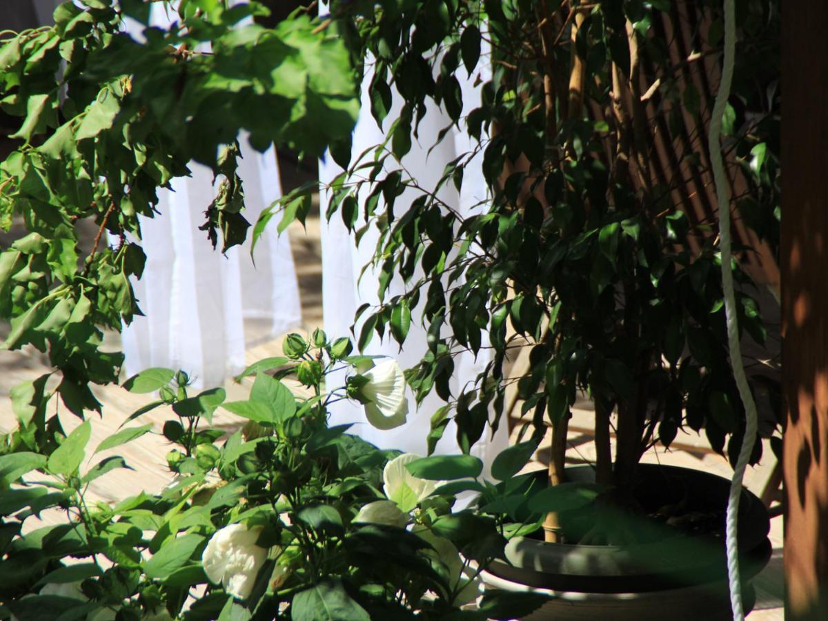 Les Pascals Bed and Breakfast Saint-Paul-lès-Romans Εξωτερικό φωτογραφία