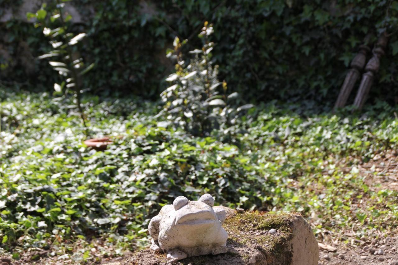 Les Pascals Bed and Breakfast Saint-Paul-lès-Romans Εξωτερικό φωτογραφία